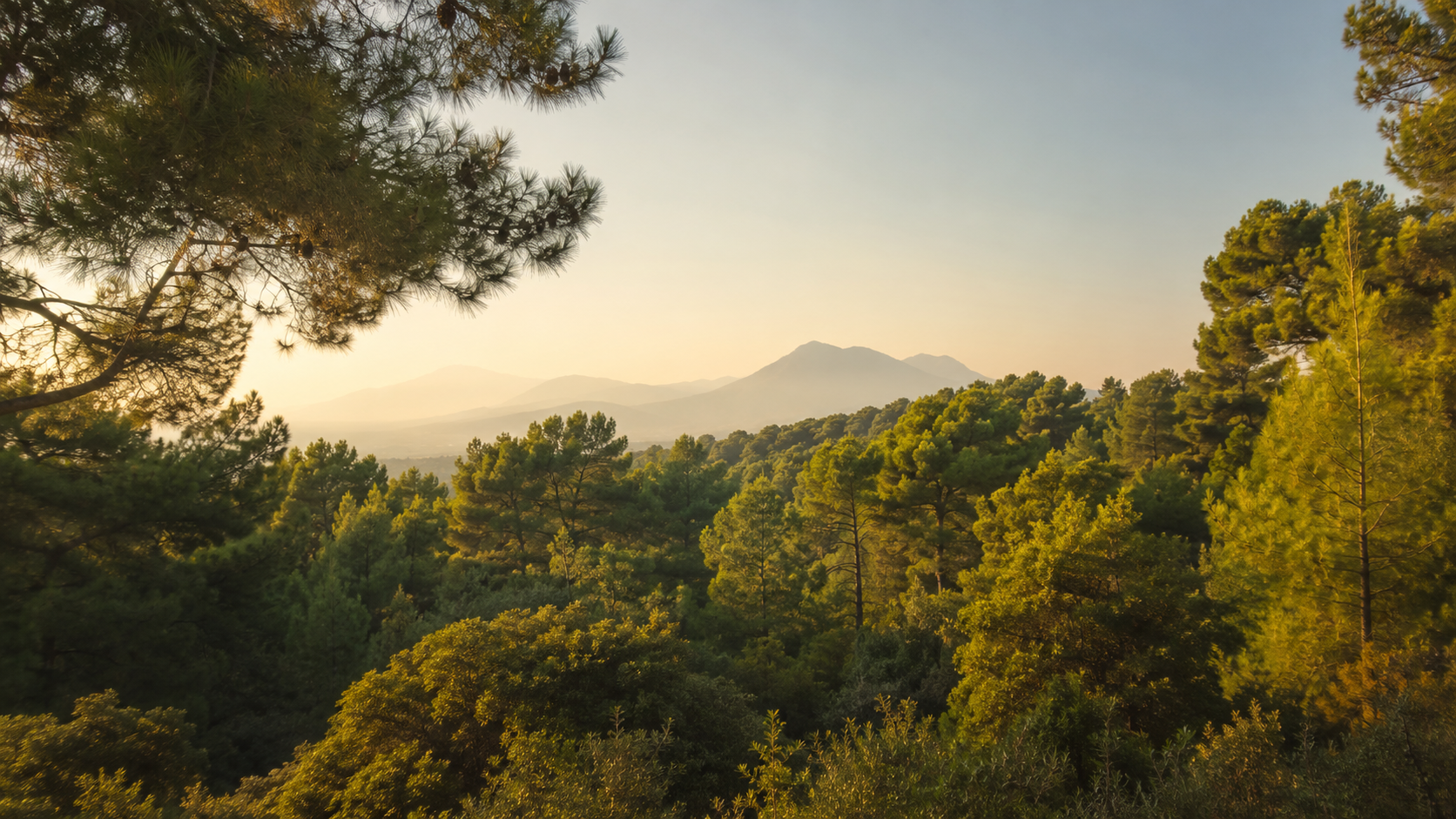 Marmaris çam ormanı ve dağ silüeti, gün batımı
